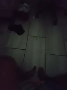 BambiPas