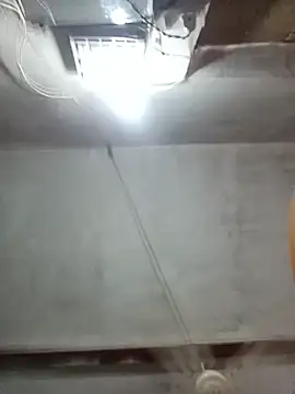 sapan_sexe