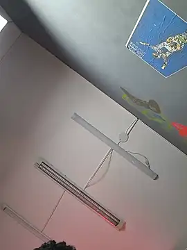 Milan_McConnell webcam