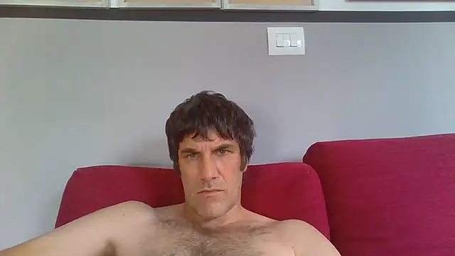 Markbull