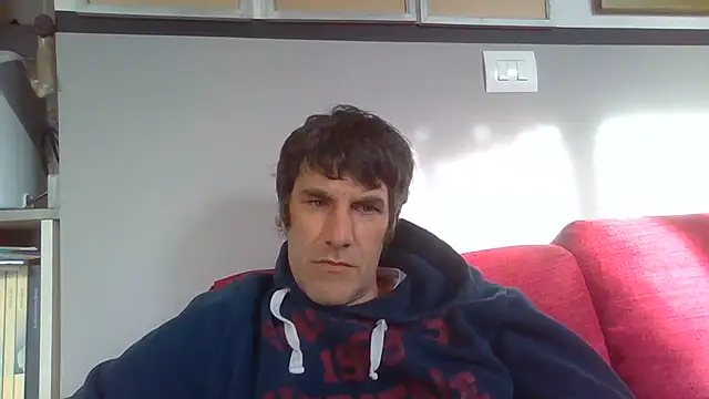 Markbull