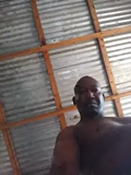 WiseDi live cam preview