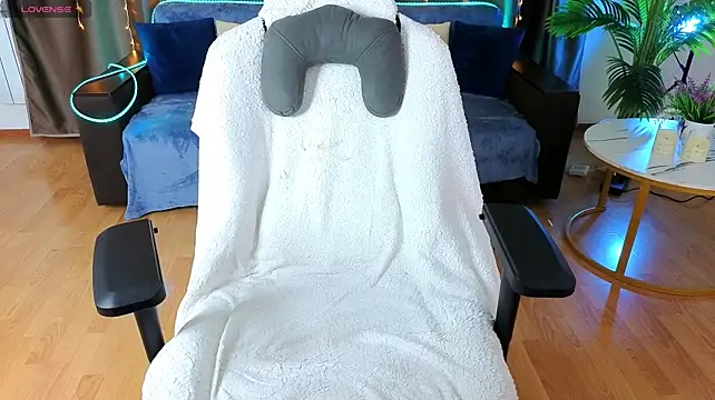 DianInav