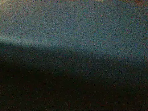favoritenudecouple webcam