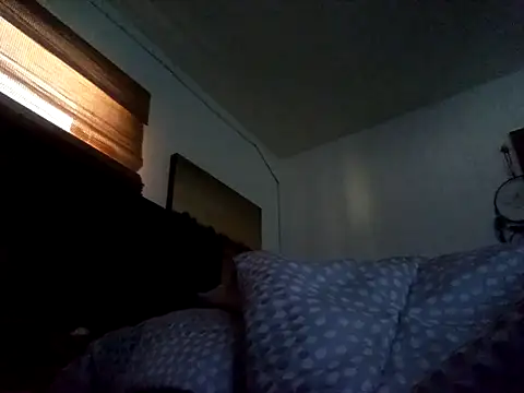 Blkstylion live cam preview