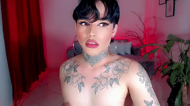 little_star_porn live sex cam