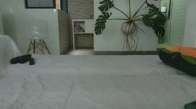 grey___27 live cam on StripChat