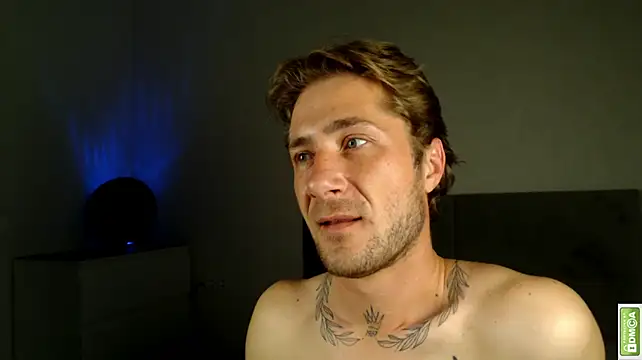 Arturswan