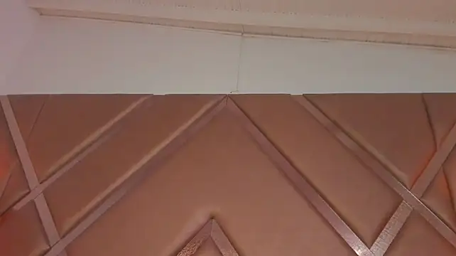 scarlethcollins_