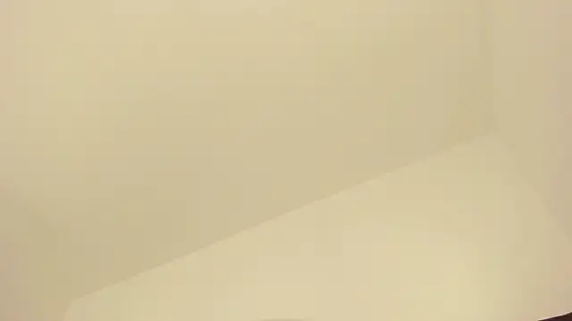 PandoraB_
