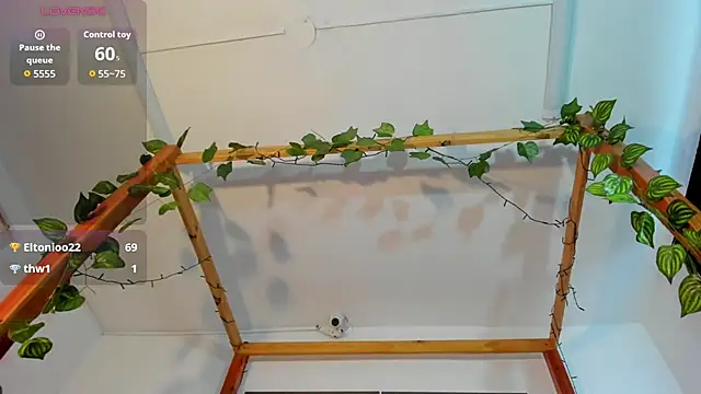 Lux_Royse webcam