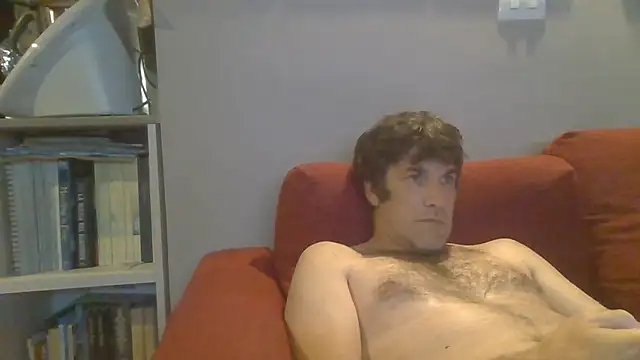 Markbull