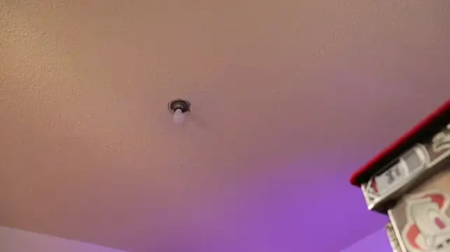 trieone webcam