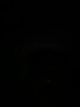 wly2028 live sex cam
