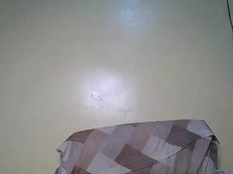 Nubian_booby