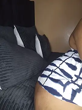 Nicollet2 webcam