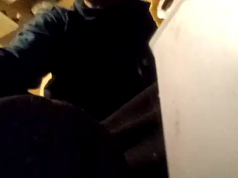 Silsntfox
