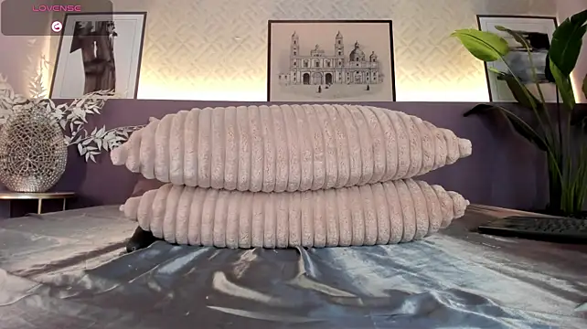cocoamore webcam