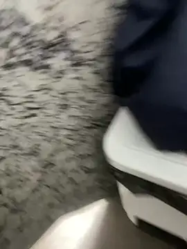 gatinho22c