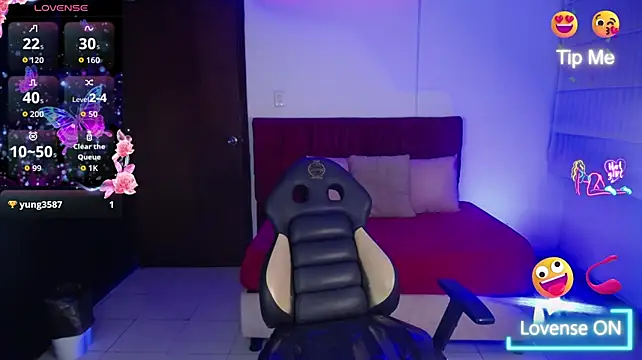 ariel_1_