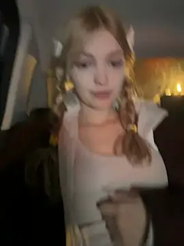 elsawhere webcam