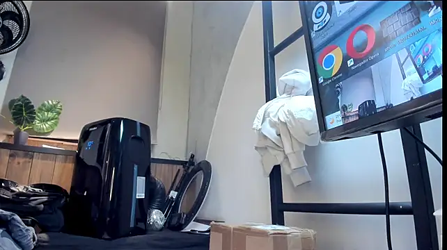 ThiagoFox webcam
