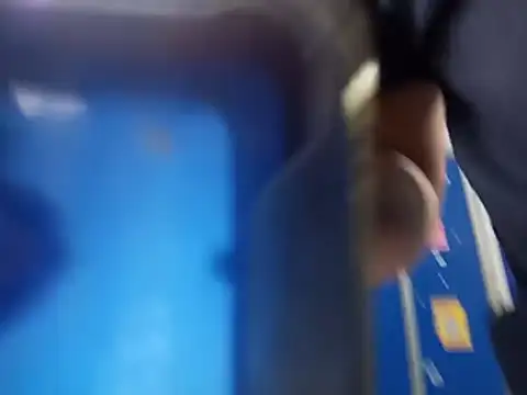 Pauloluna