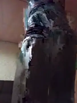 SLENDER-QWEEN