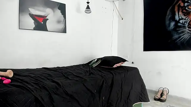 salome_sodi
