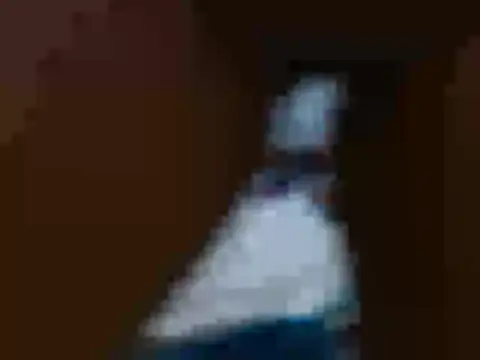 Rose_bukater2