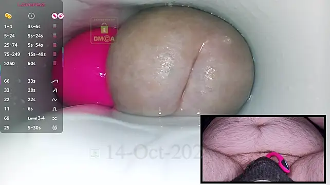 controlmytoys live cam preview