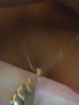 Rosa_25x