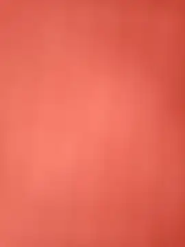 Alejandra_N