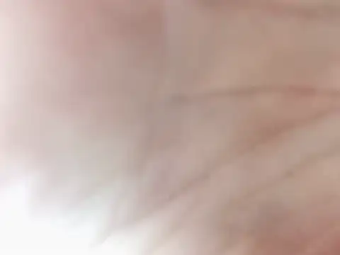 dustbunny64