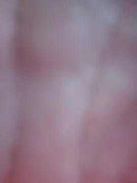 Ofeliafoxx