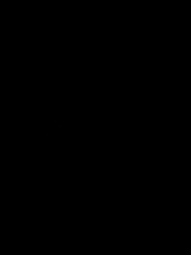 Flakotripitas