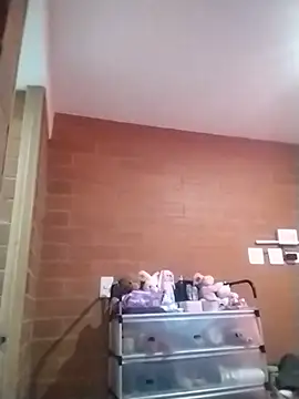 CATALEYA_SEXI