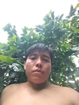 Pisonvergudo