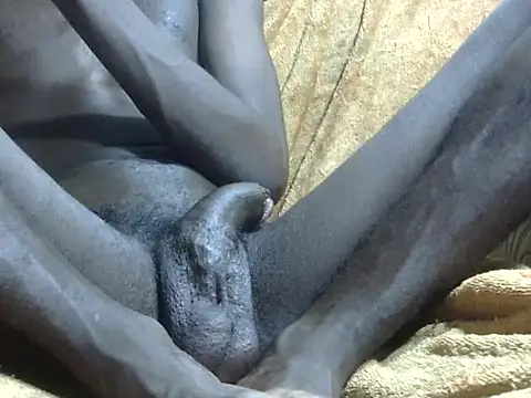 masterbbc_