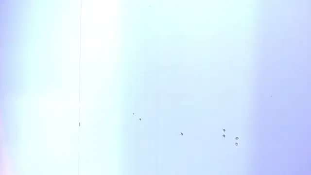 PatrickHard_