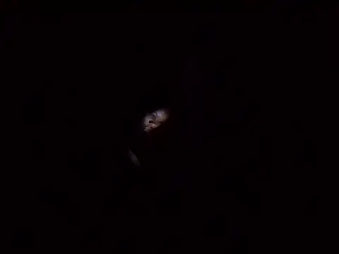 Africandesire02