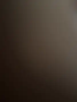 ReasonableChamber64