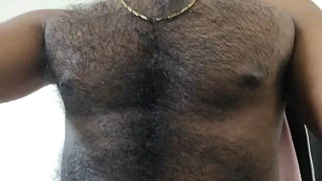 VIP-JOY webcam