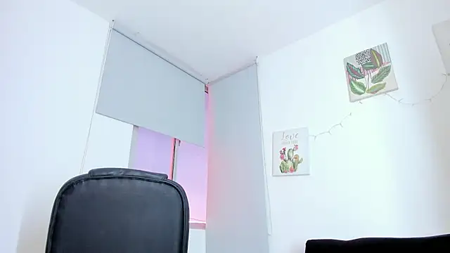 barbie_ds
