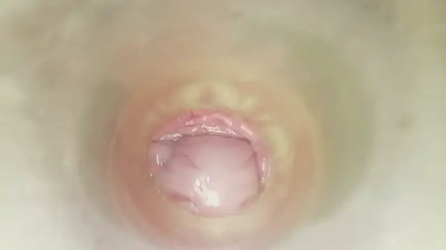 karol_stom live cam on StripChat