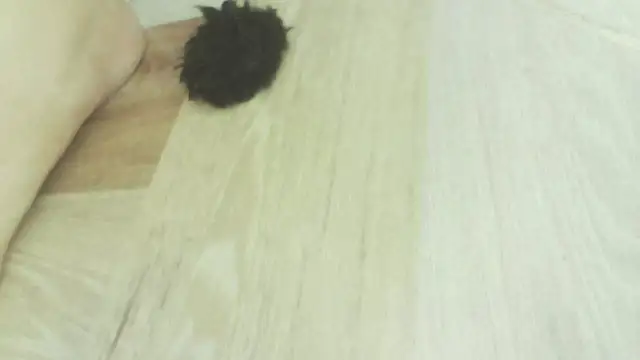 karol_stom