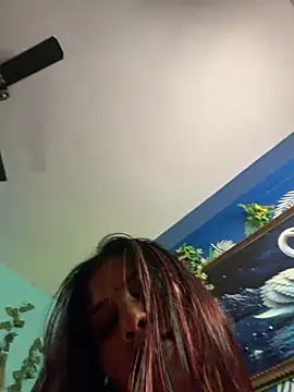 V-Hot-Sweti