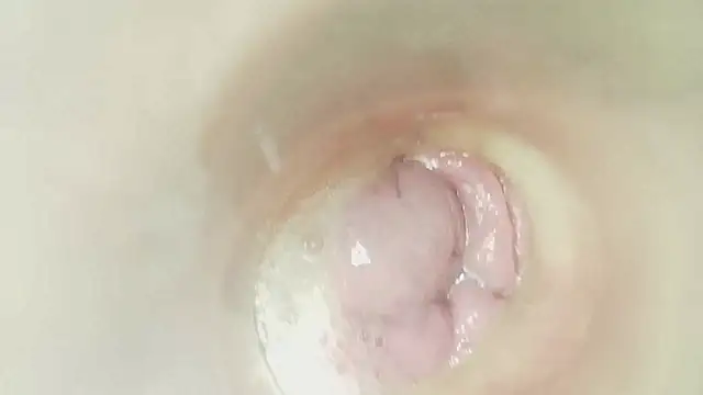 karol_stom