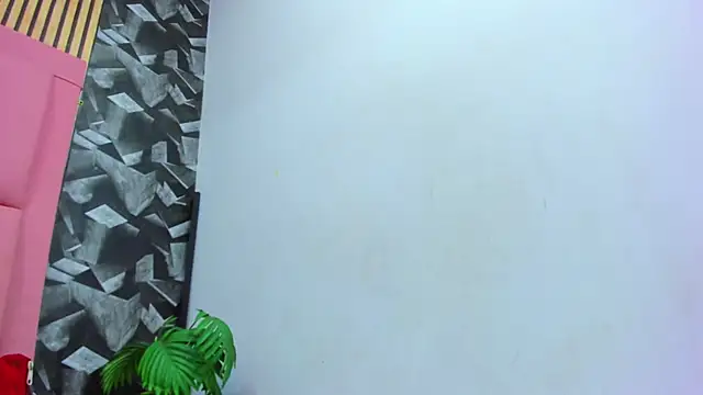 Brithanyslim