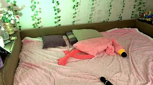 LUMI_SOLLI